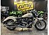 New 2025 Indian Scout Classic Limited
