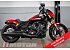 2025 Indian Scout 101 Scout
