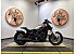 2025 Indian Scout