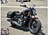 New 2025 Indian Scout