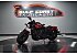 2025 Indian Scout