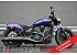 New 2025 Indian Scout
