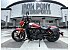 2025 Indian Scout 101 Scout