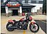 2025 Indian Scout 101 Scout