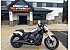 2025 Indian Scout 101 Scout