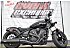 2025 Indian Scout