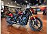 2025 Indian Scout 101 Scout