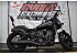 New 2025 Indian Scout