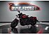 2025 Indian Scout