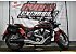 2025 Indian Scout