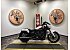 2025 Indian Scout