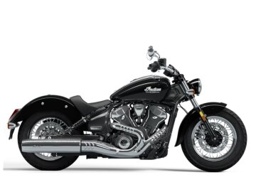New 2025 Indian Scout