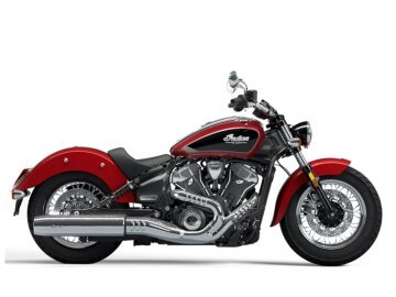 New 2025 Indian Scout