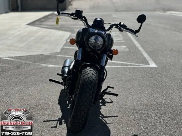New 2025 Indian Scout