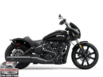 New 2025 Indian Scout