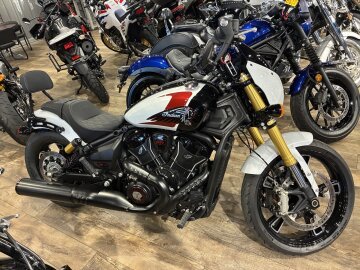 2025 Indian Scout 101 Scout