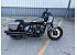 New 2025 Indian Sport Chief RT Dark Horse w/ABS
