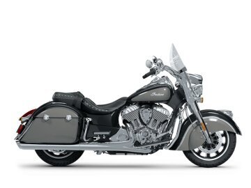 New 2025 Indian Springfield