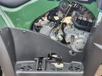 Thumbnail Photo 6 for New 2025 Kawasaki Brute Force 300