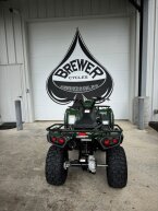 Thumbnail Photo 3 for New 2025 Kawasaki Brute Force 300