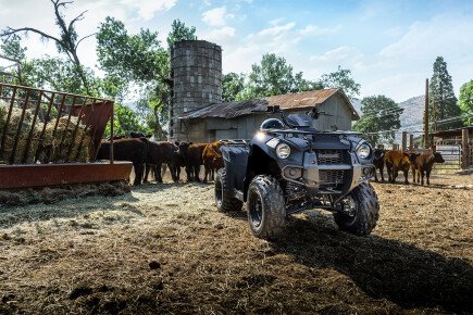 Photo 1 for New 2025 Kawasaki Brute Force 300