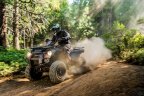 Thumbnail Photo 4 for New 2025 Kawasaki Brute Force 300