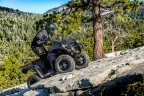 Thumbnail Photo 5 for New 2025 Kawasaki Brute Force 300