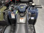 Thumbnail Photo 1 for New 2025 Kawasaki Brute Force 300