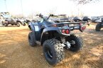 Thumbnail Photo 4 for New 2025 Kawasaki Brute Force 300