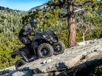 Thumbnail Photo 4 for New 2025 Kawasaki Brute Force 300