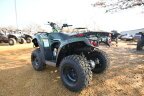 Thumbnail Photo 4 for New 2025 Kawasaki Brute Force 300