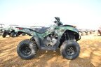 Thumbnail Photo 1 for New 2025 Kawasaki Brute Force 300