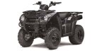 Thumbnail Photo 1 for New 2025 Kawasaki Brute Force 300