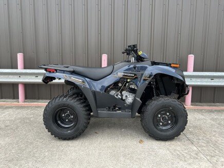 Photo 1 for New 2025 Kawasaki Brute Force 300