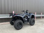 Thumbnail Photo 2 for New 2025 Kawasaki Brute Force 300
