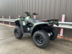 Thumbnail Photo 5 for New 2025 Kawasaki Brute Force 300