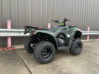 Thumbnail Photo 1 for New 2025 Kawasaki Brute Force 300