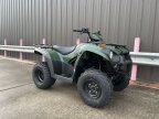 Thumbnail Photo 3 for New 2025 Kawasaki Brute Force 300