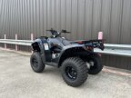 Thumbnail Photo 6 for New 2025 Kawasaki Brute Force 300