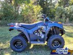 Thumbnail Photo 3 for New 2025 Kawasaki Brute Force 300