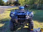 Thumbnail Photo 1 for New 2025 Kawasaki Brute Force 300