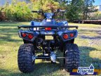 Thumbnail Photo 4 for New 2025 Kawasaki Brute Force 300