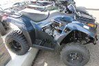 Thumbnail Photo 2 for New 2025 Kawasaki Brute Force 300