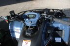 Thumbnail Photo 3 for New 2025 Kawasaki Brute Force 300