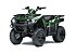 New 2025 Kawasaki Brute Force 300