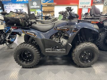 New 2025 Kawasaki Brute Force 300