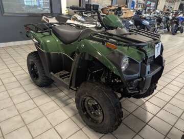 New 2025 Kawasaki Brute Force 300