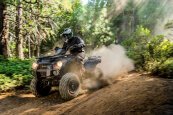 New 2025 Kawasaki Brute Force 300