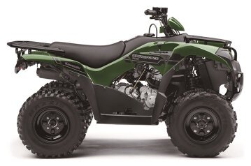 New 2025 Kawasaki Brute Force 300