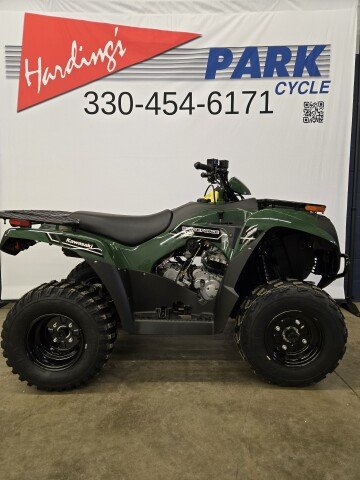New 2025 Kawasaki Brute Force 300